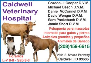 Caldwell Veterinary Hospital